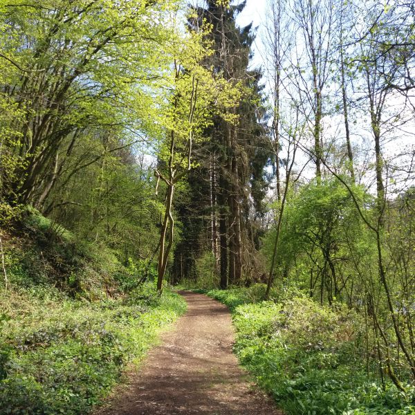 Circum Castellum Circum Castellum