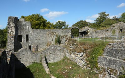 Un cycle de 8 conférences dans le cadre de Logne 1521-2021