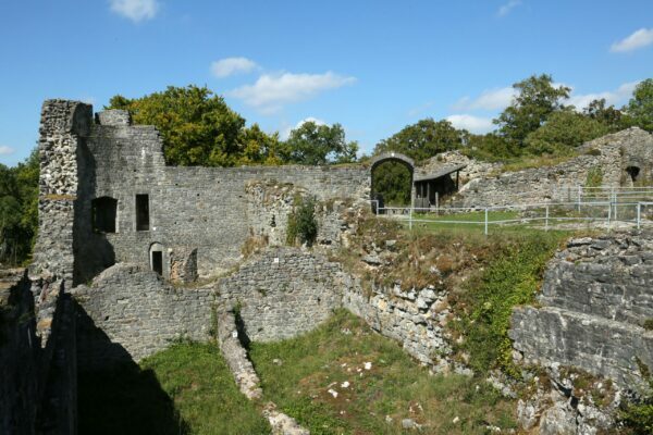 Pour conférences (c) Patrice Fagnoul