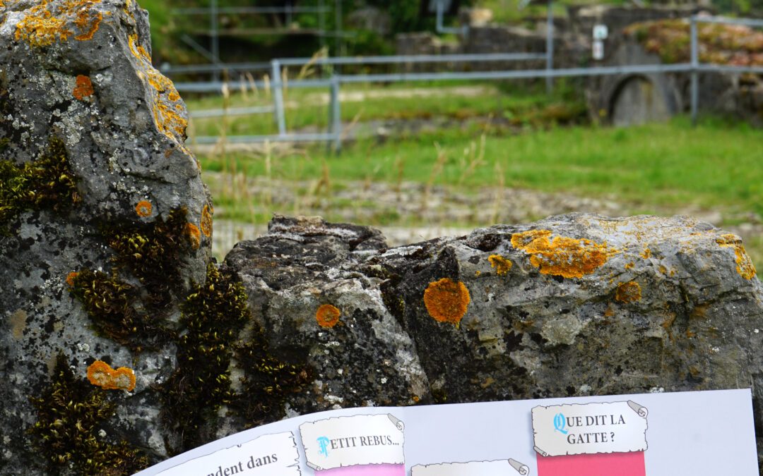 La chasse au trésor de la Gatte d&rsquo;Or est de retour pour l&rsquo;été