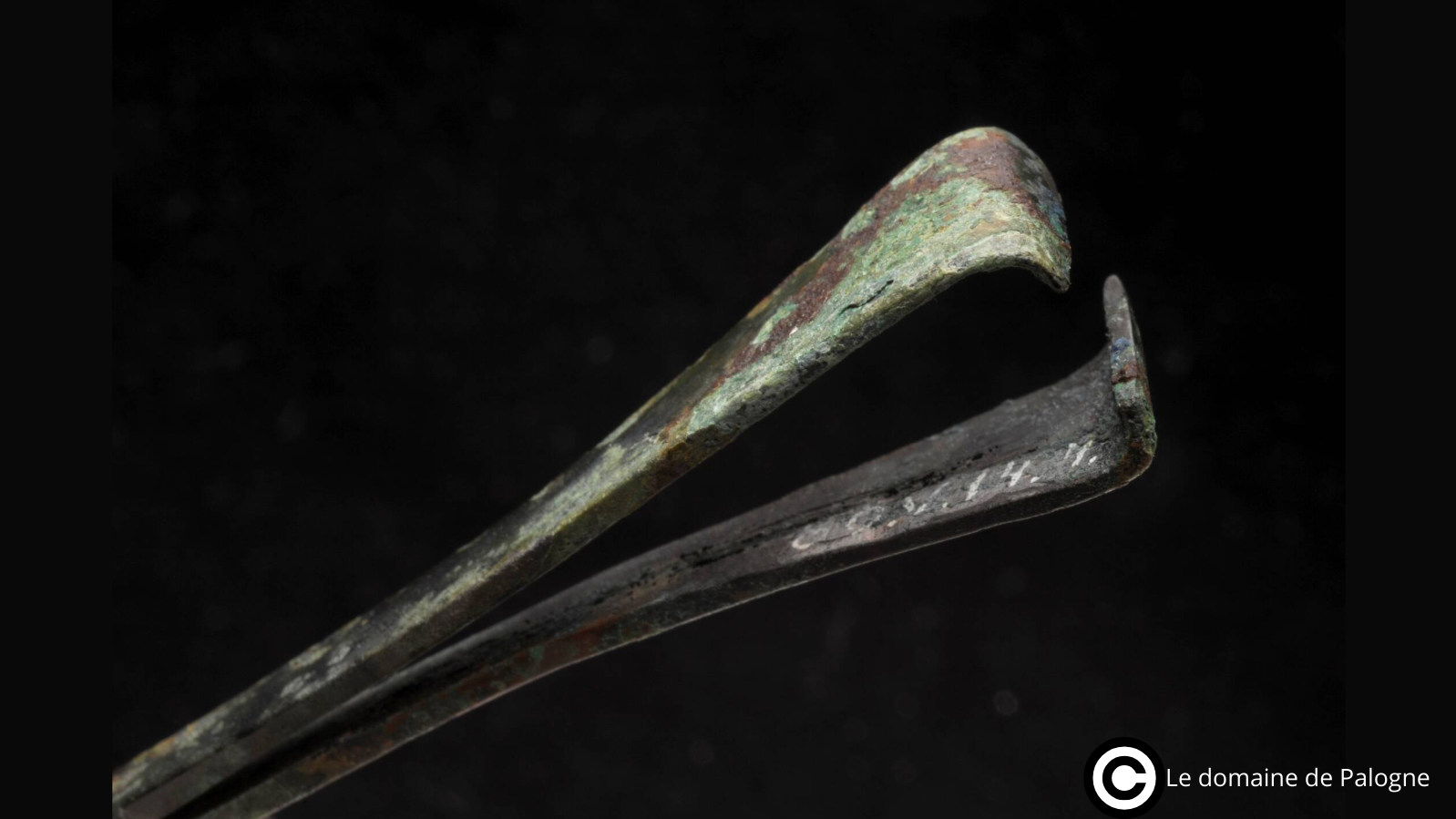 Pince à épiler avec Copyright